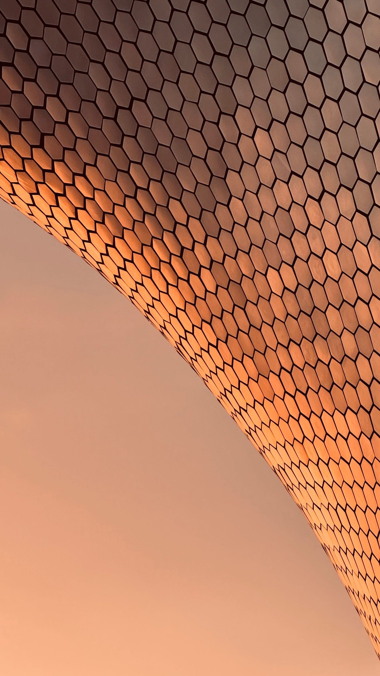 A curved metal mesh catching warm light.