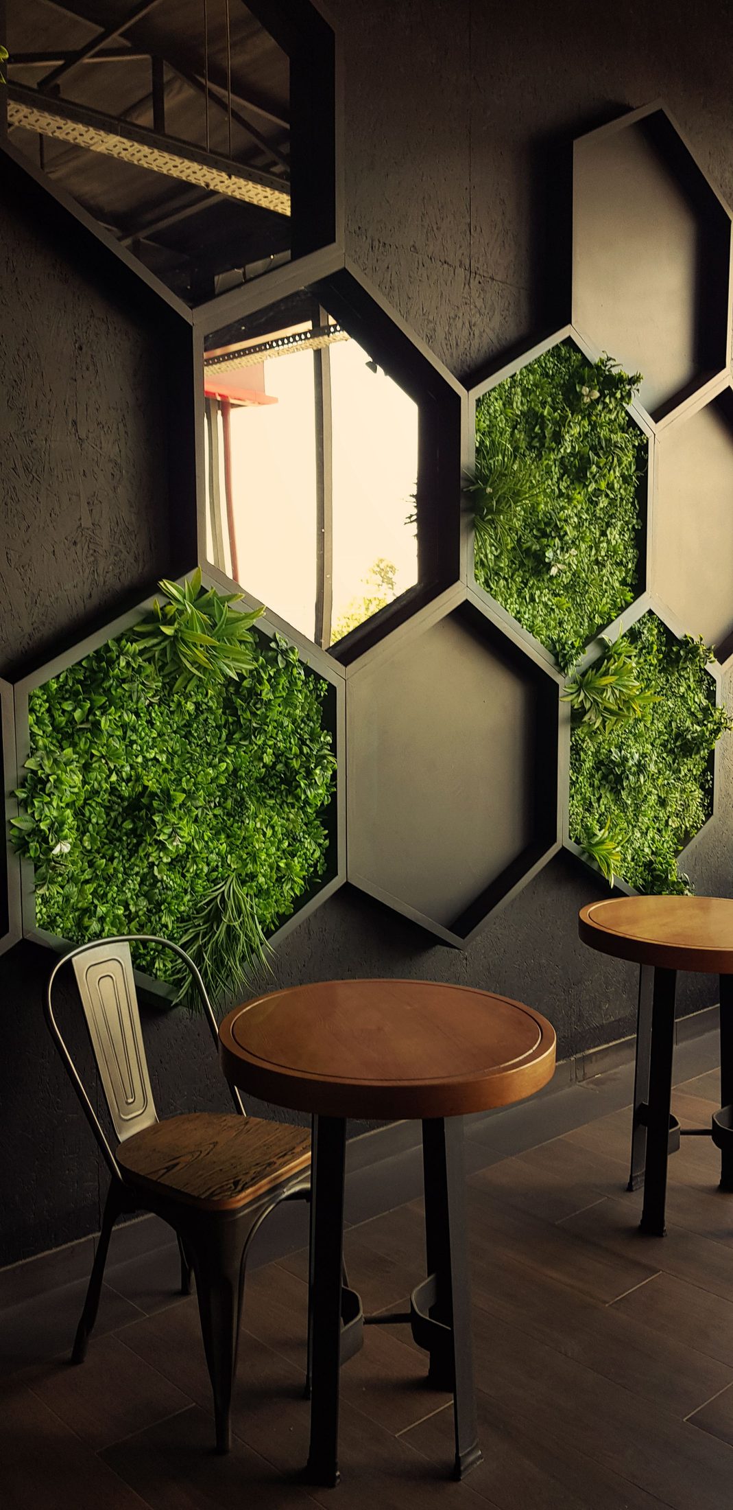 Moss set inside hexagonal wall frames.