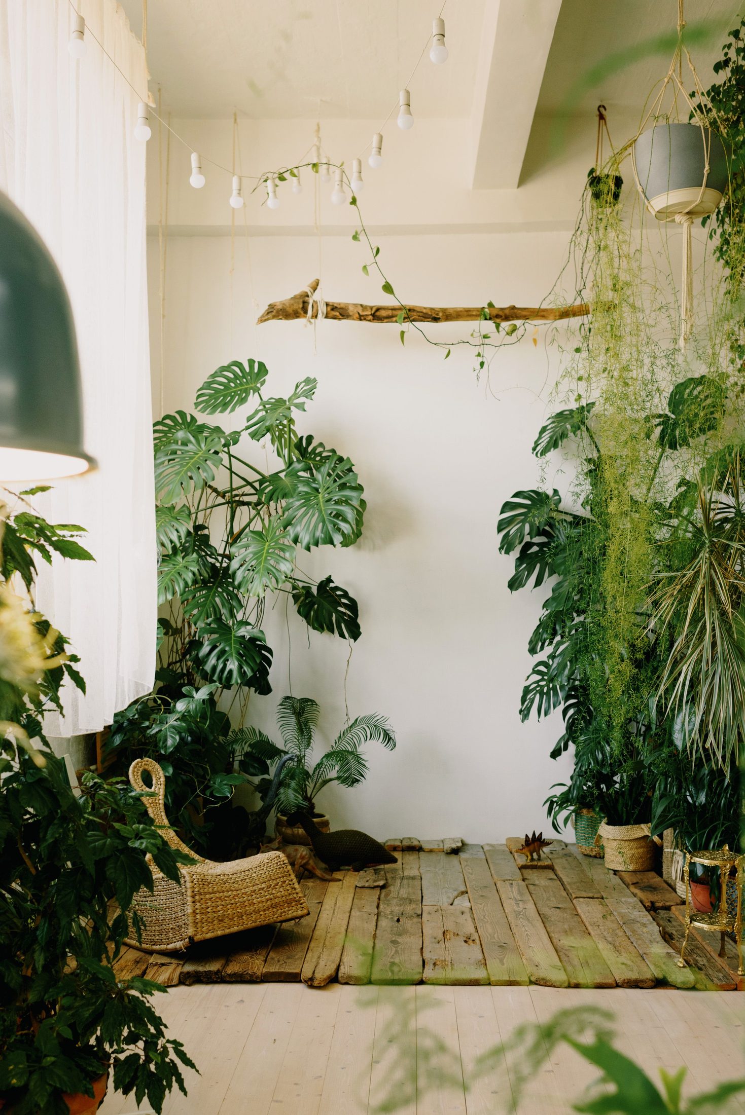 A bright studio room filled with plants.